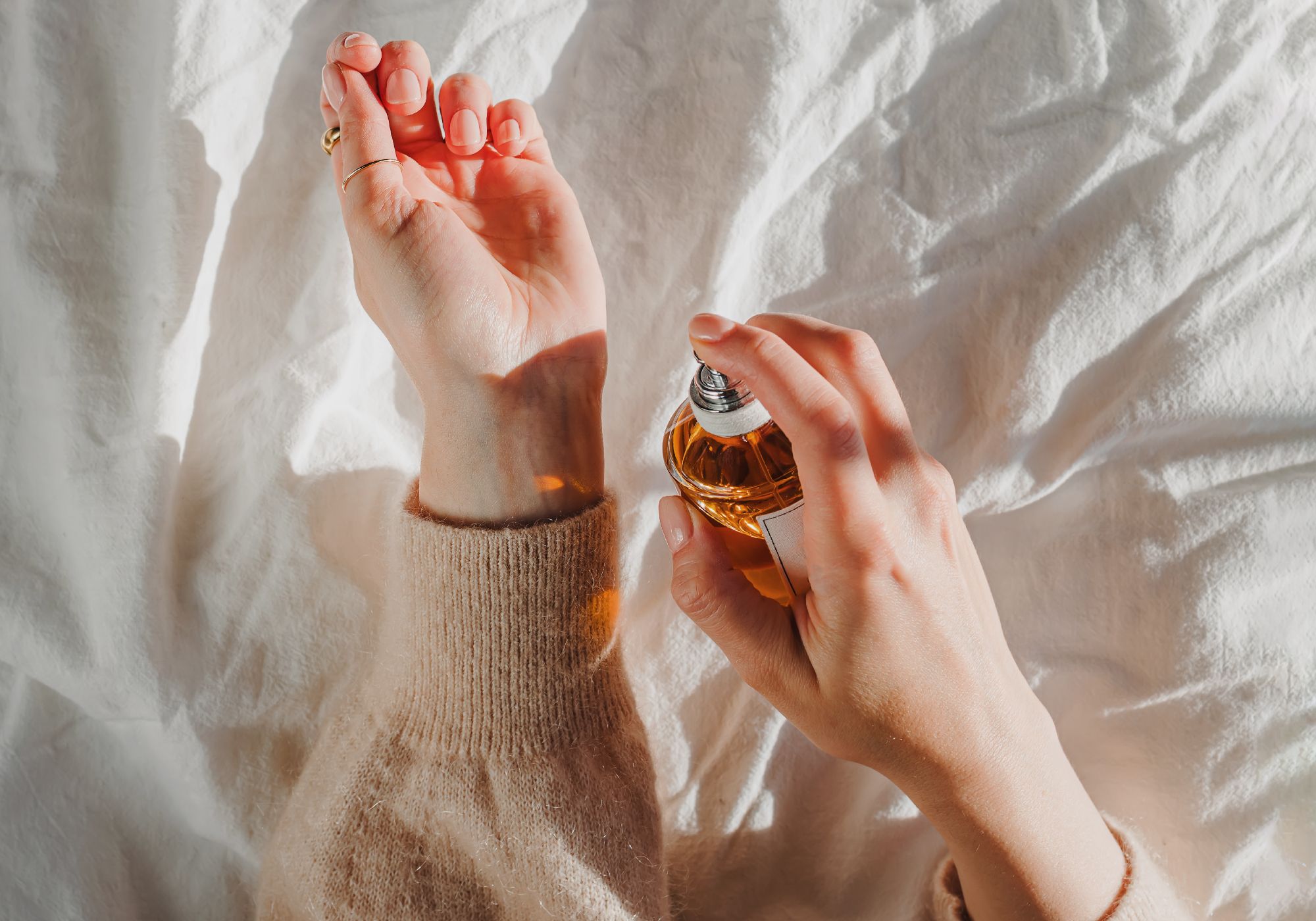 How Scent Became a Shared Language, Thanks to One Site