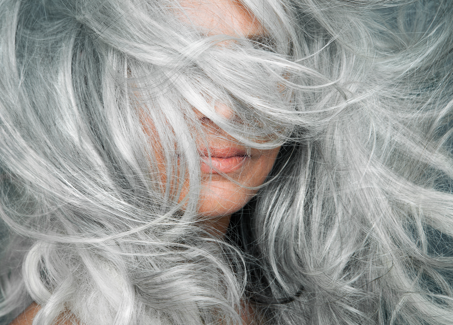<![CDATA[Chic Gray Hair Color Ideas Colorists Love for Spring]]>